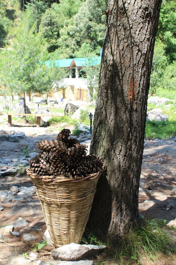 Tirthan Anglers' Retreat Banjar Экстерьер фото